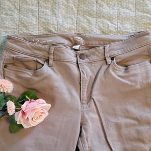NWOT Loft Skinny Jeans